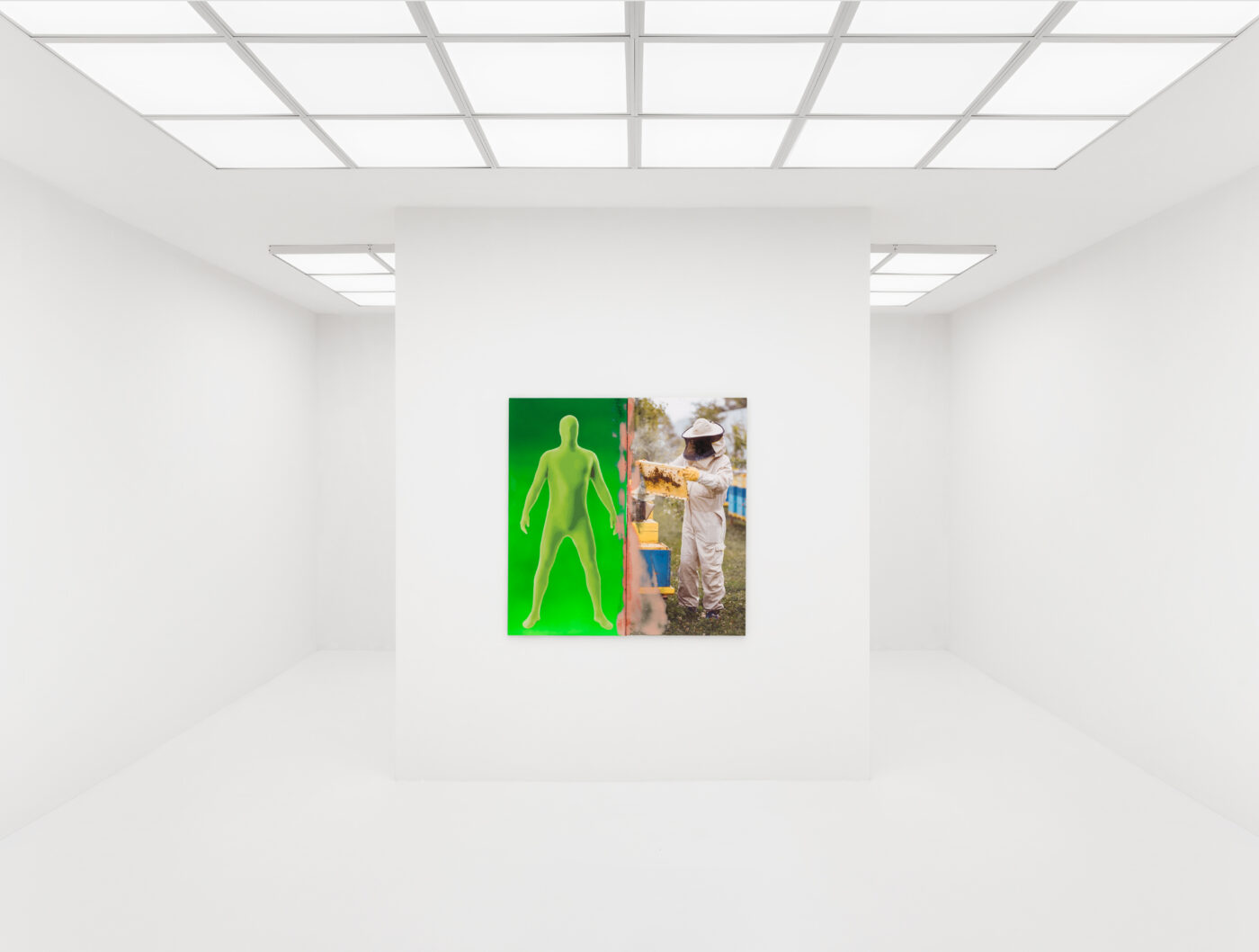 (a) VIRTUALITY, installation view, 2024